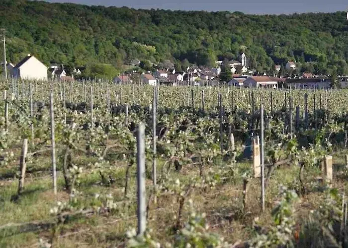 Duplex Spacieux Centre Parking Sur Place Lejlighed *